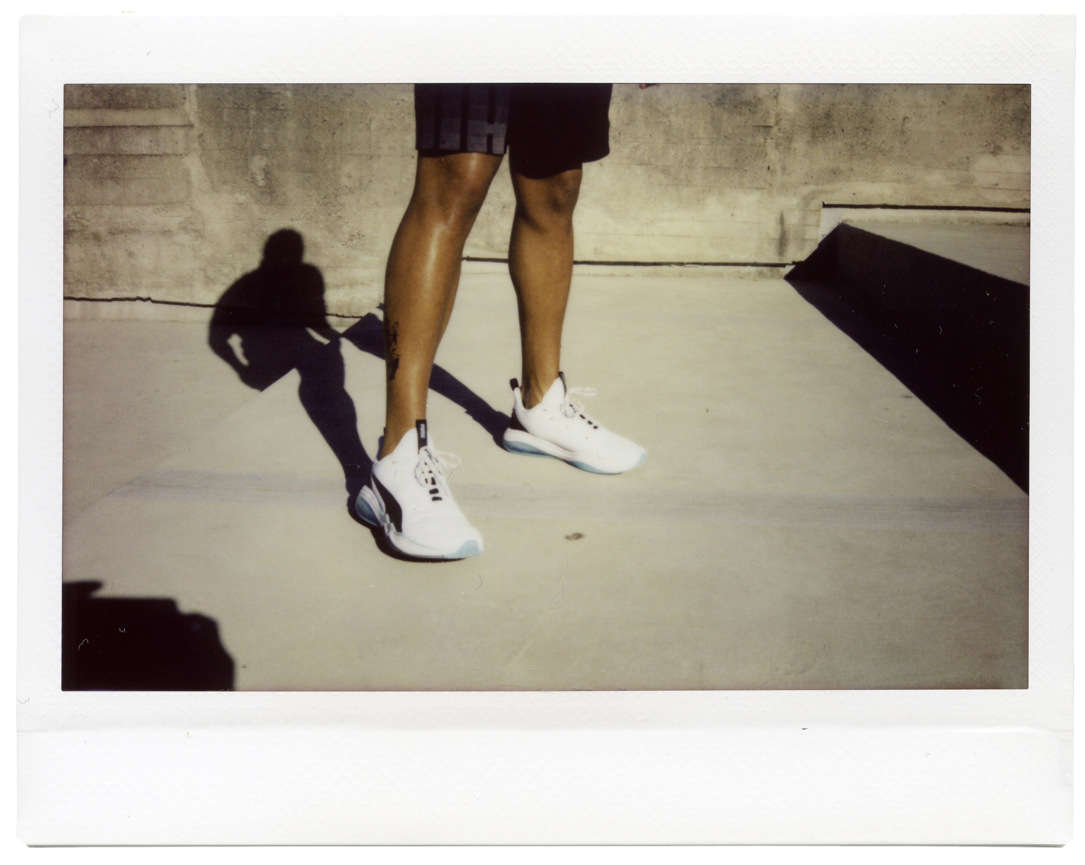 Puma — LQD Cell + Hybrid Astro