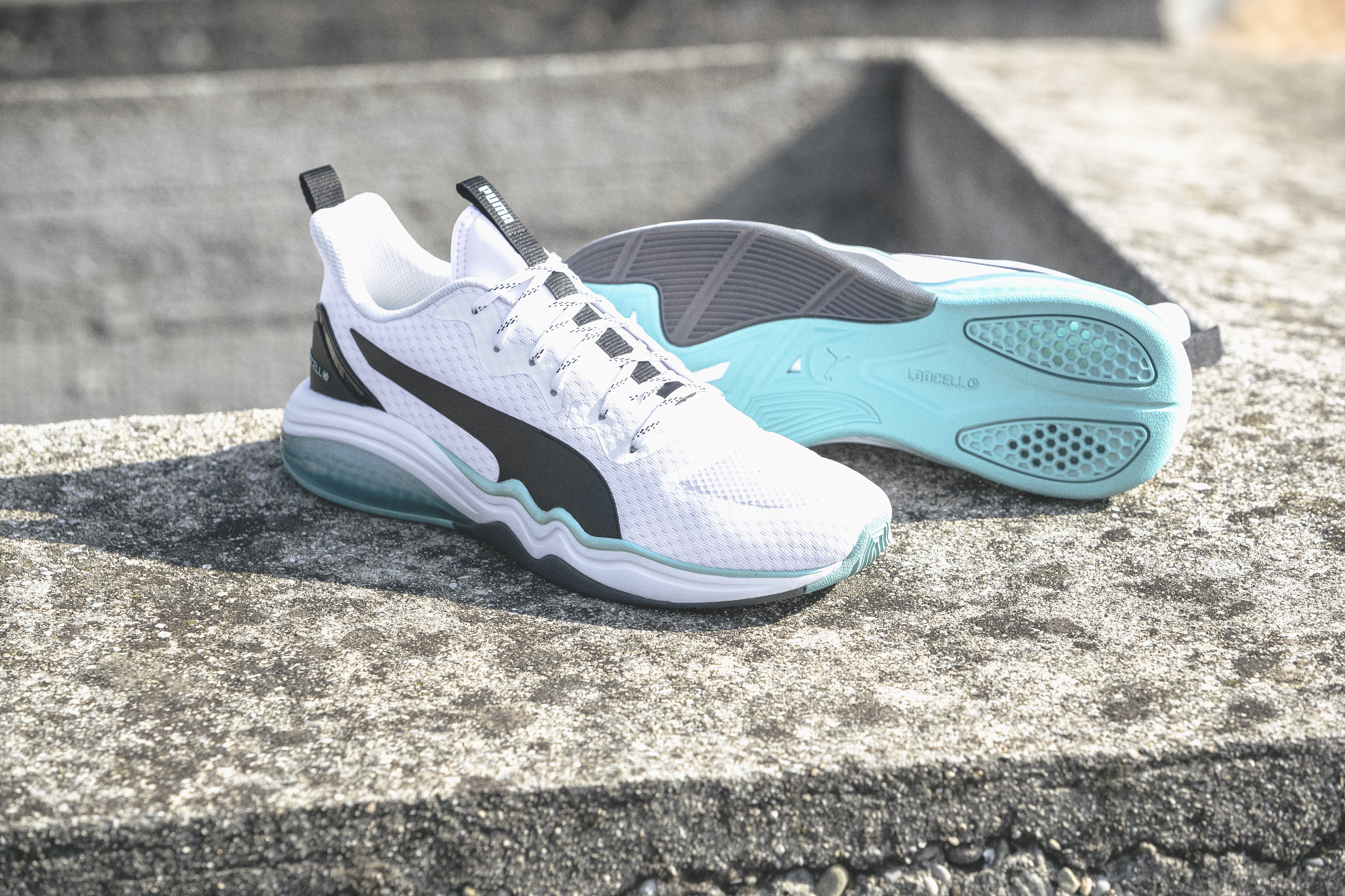 Puma — LQD Cell + Hybrid Astro